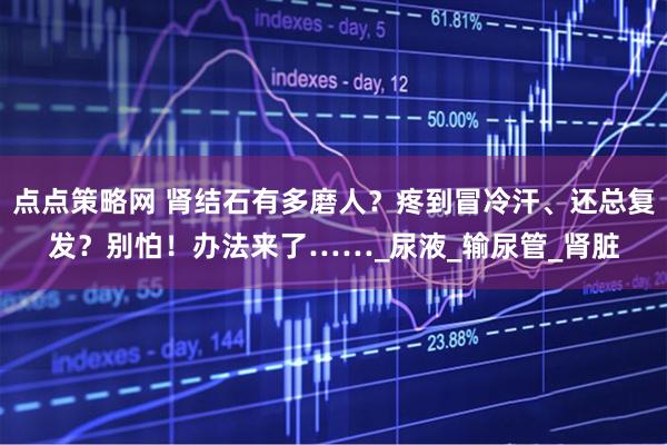 点点策略网 肾结石有多磨人？疼到冒冷汗、还总复发？别怕！办法来了……_尿液_输尿管_肾脏